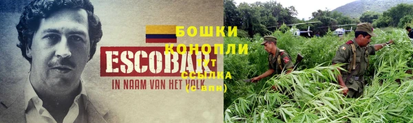 мет Кинешма