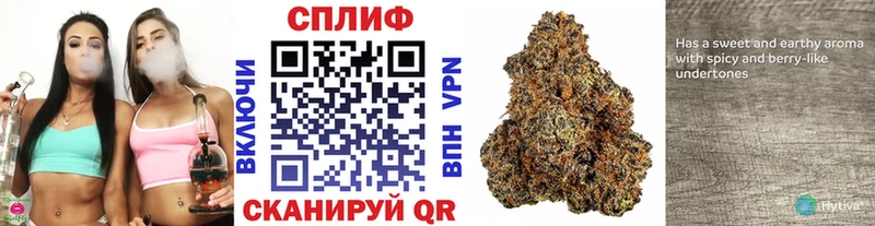 Купить  Феодосия  Шишки марихуана план 